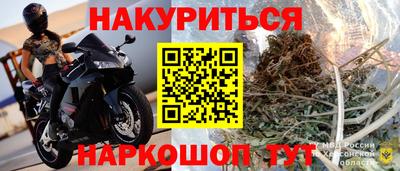 мяу мяу мука Гулькевичи