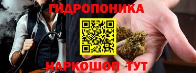 мяу мяу мука Гулькевичи