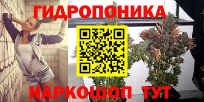 прущие крисы Гуково