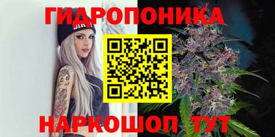 мяу мяу мука Гулькевичи