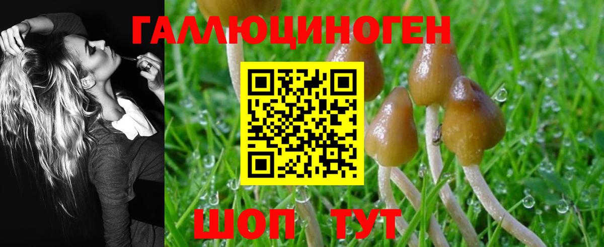 Видное  Псилоцибиновые грибы Magic Shrooms  Вход с VPN 